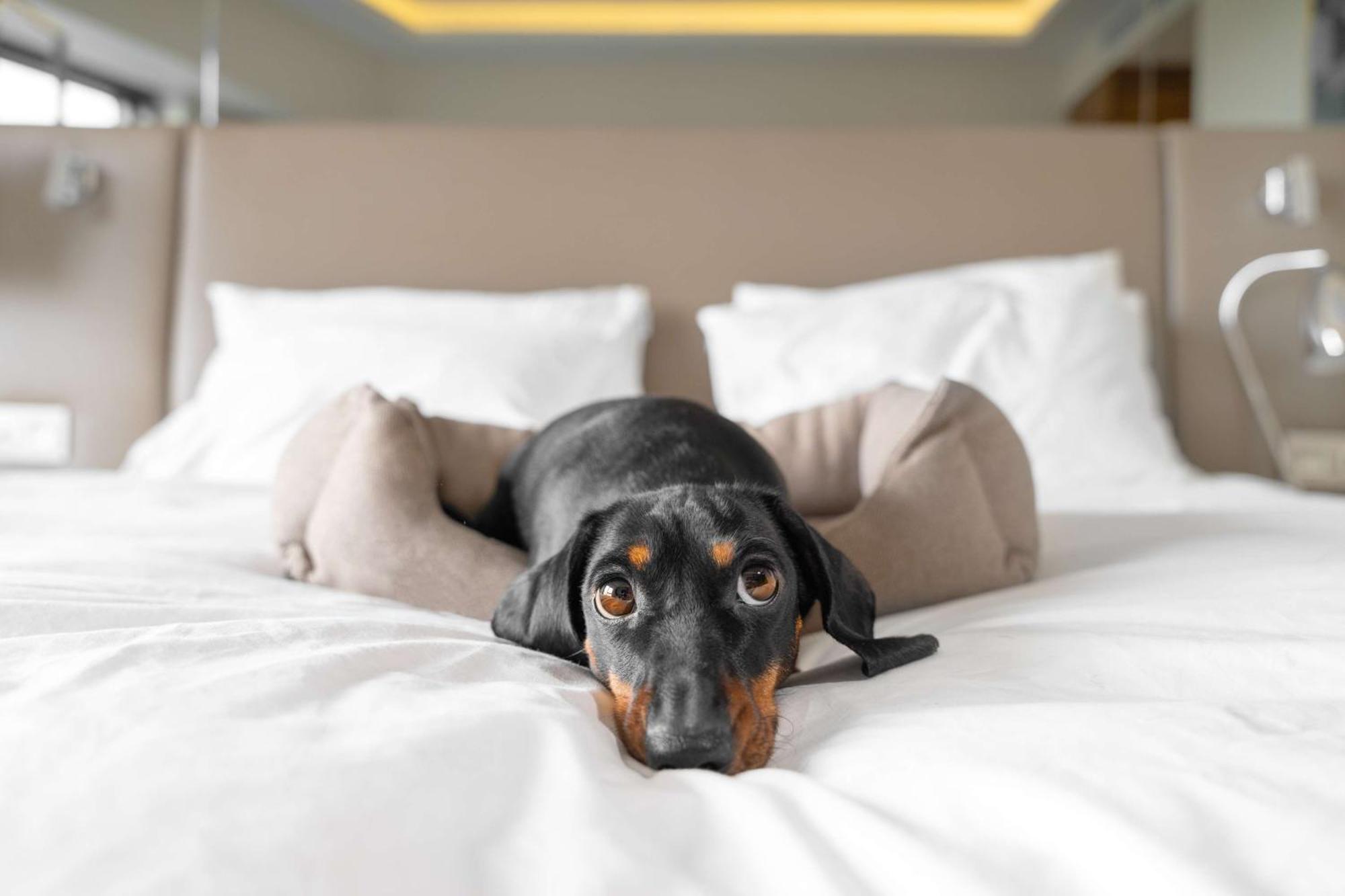 Hilton Anatole Hotell Dallas Eksteriør bilde